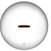 Big Lid